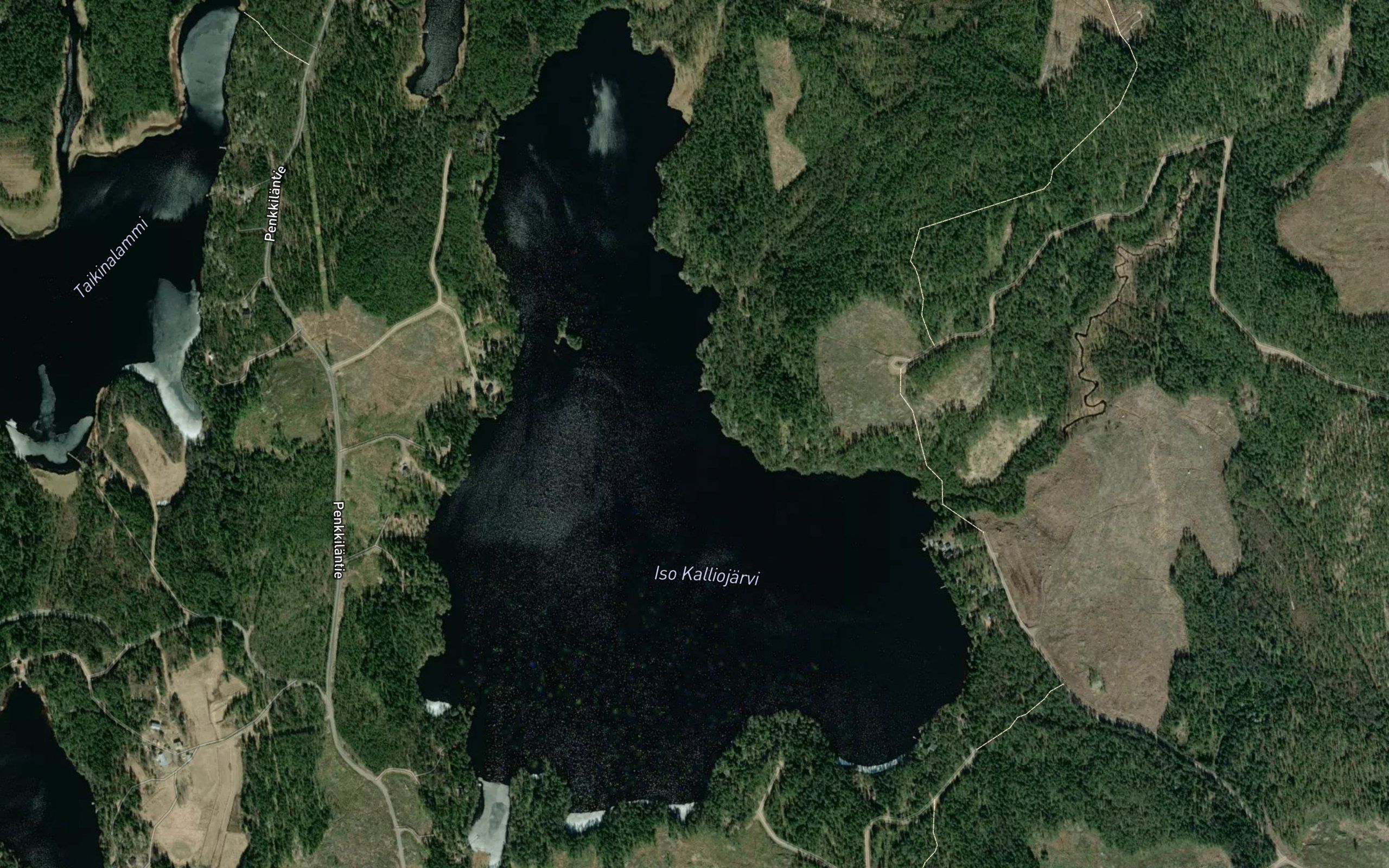 Iso Kalliojarvi