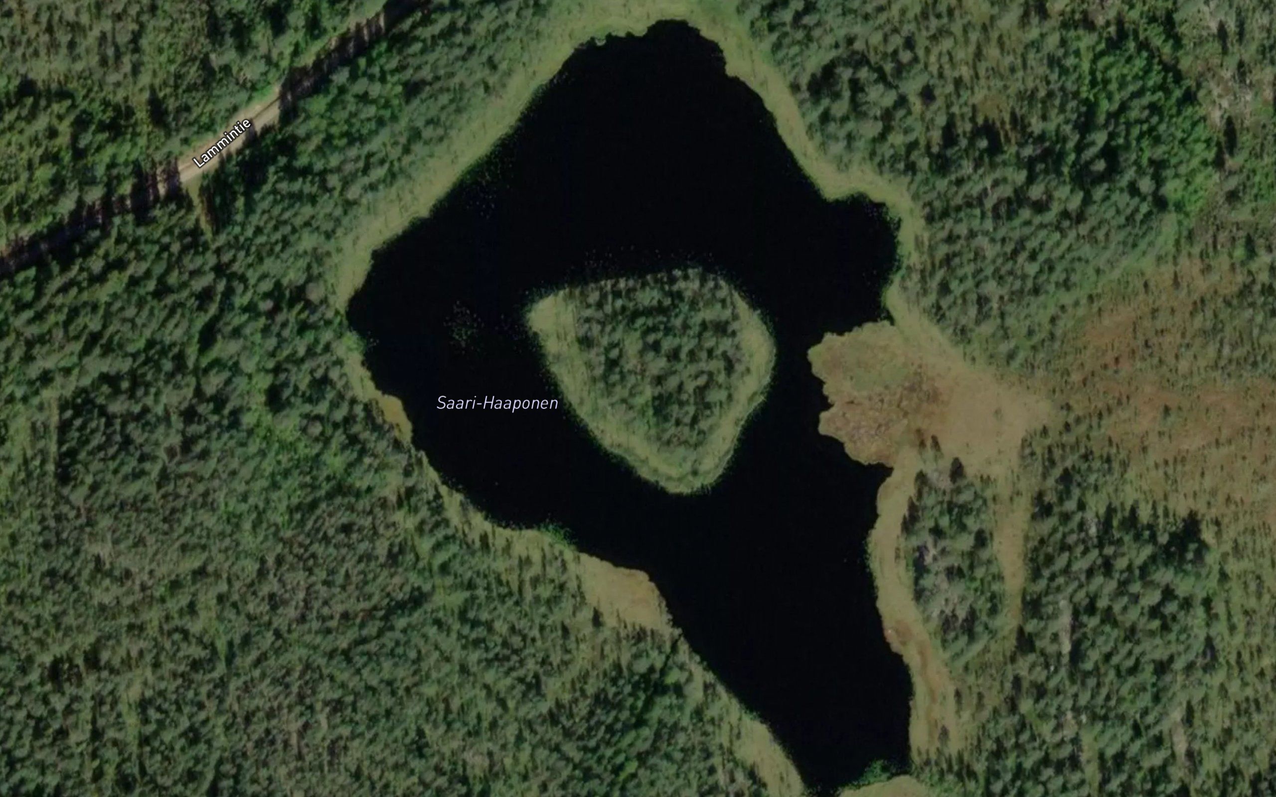 Saari-Haaponen