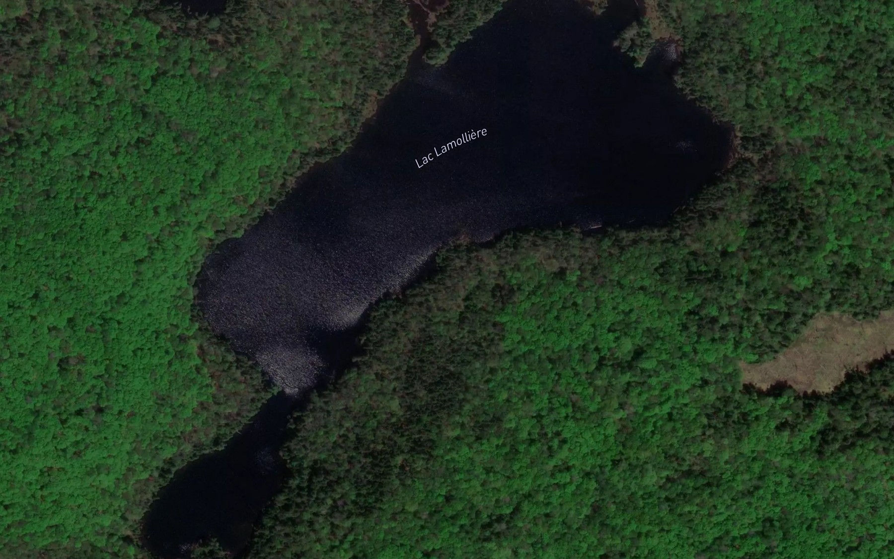 Satellite map of the Lac Lamolliere
