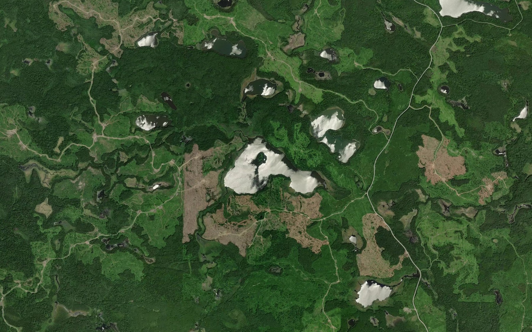 Satellite map of the Twin Birch Lake
