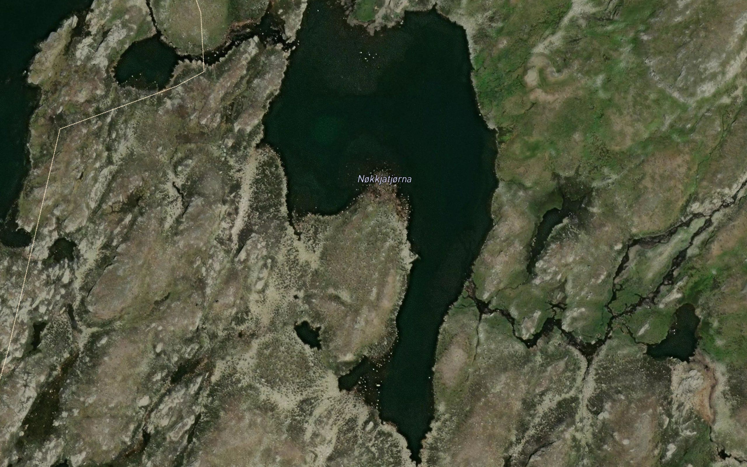 Nokkjatjorni