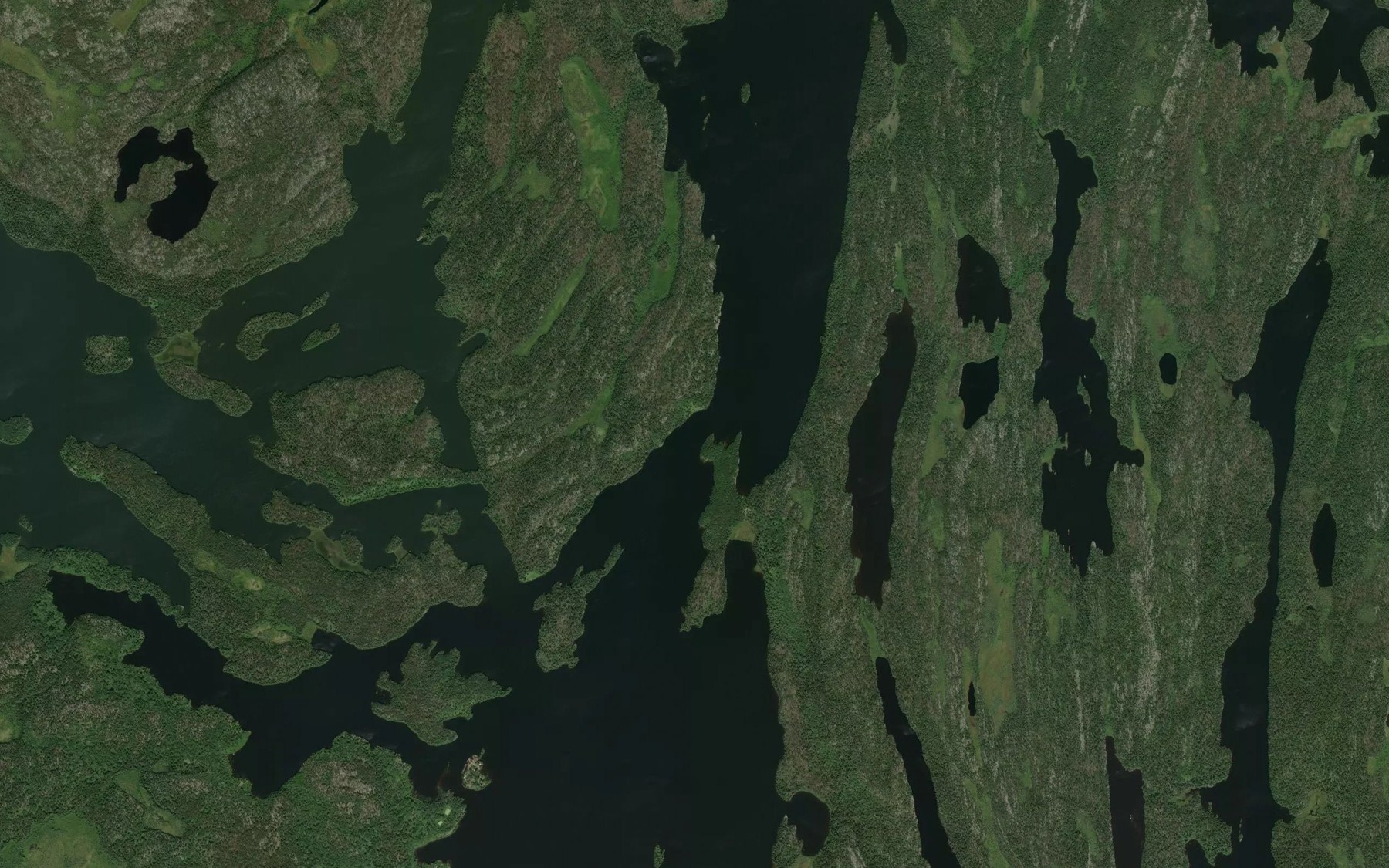 Satellite map of the Trout Narrows