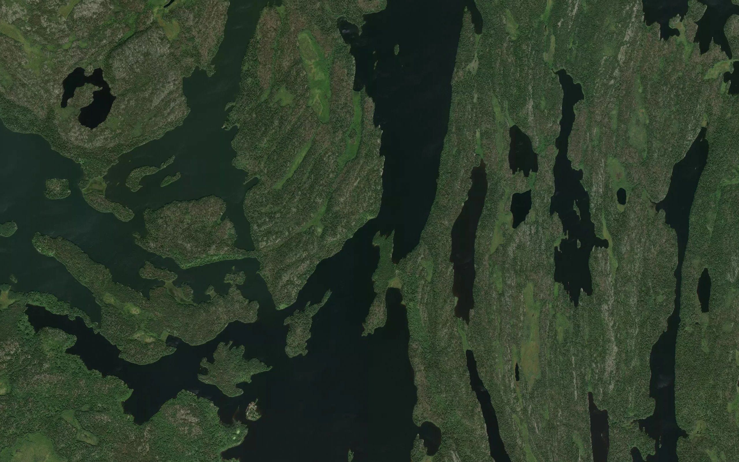 Trout Narrows