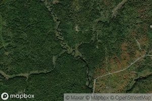 Pineo Brook