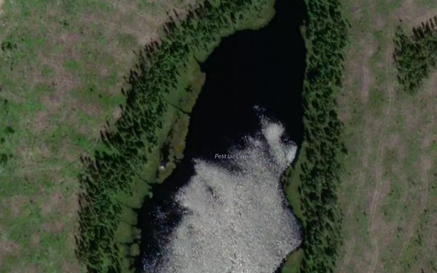 Satellite map of the Petit lac Lavoie