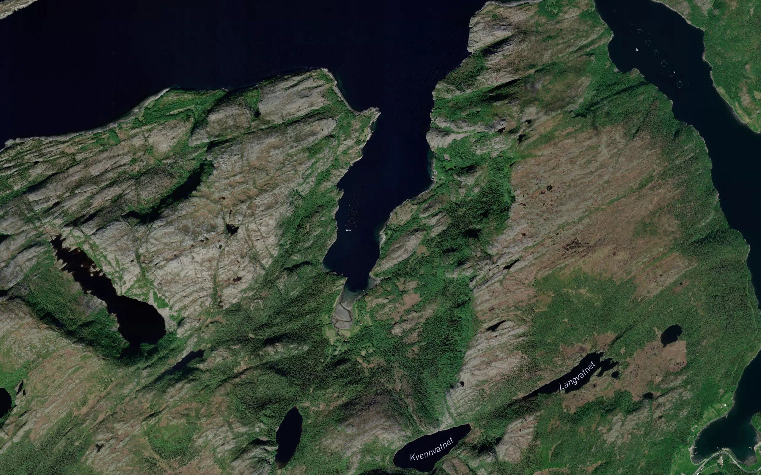 Fevika