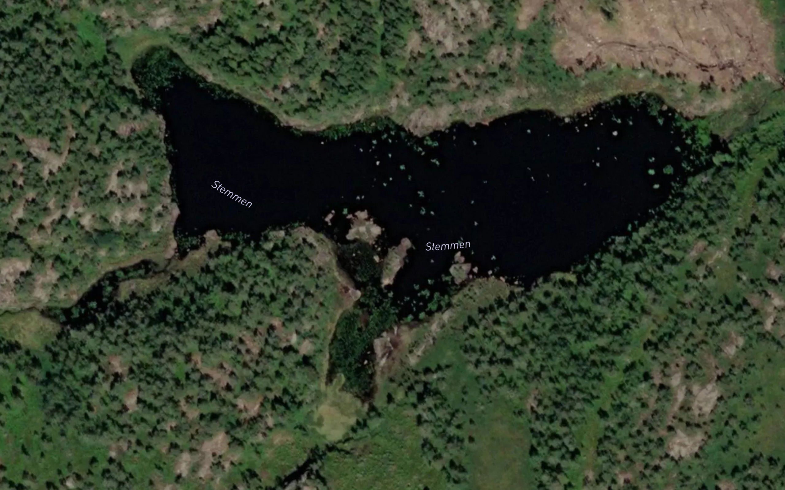 Royrvann