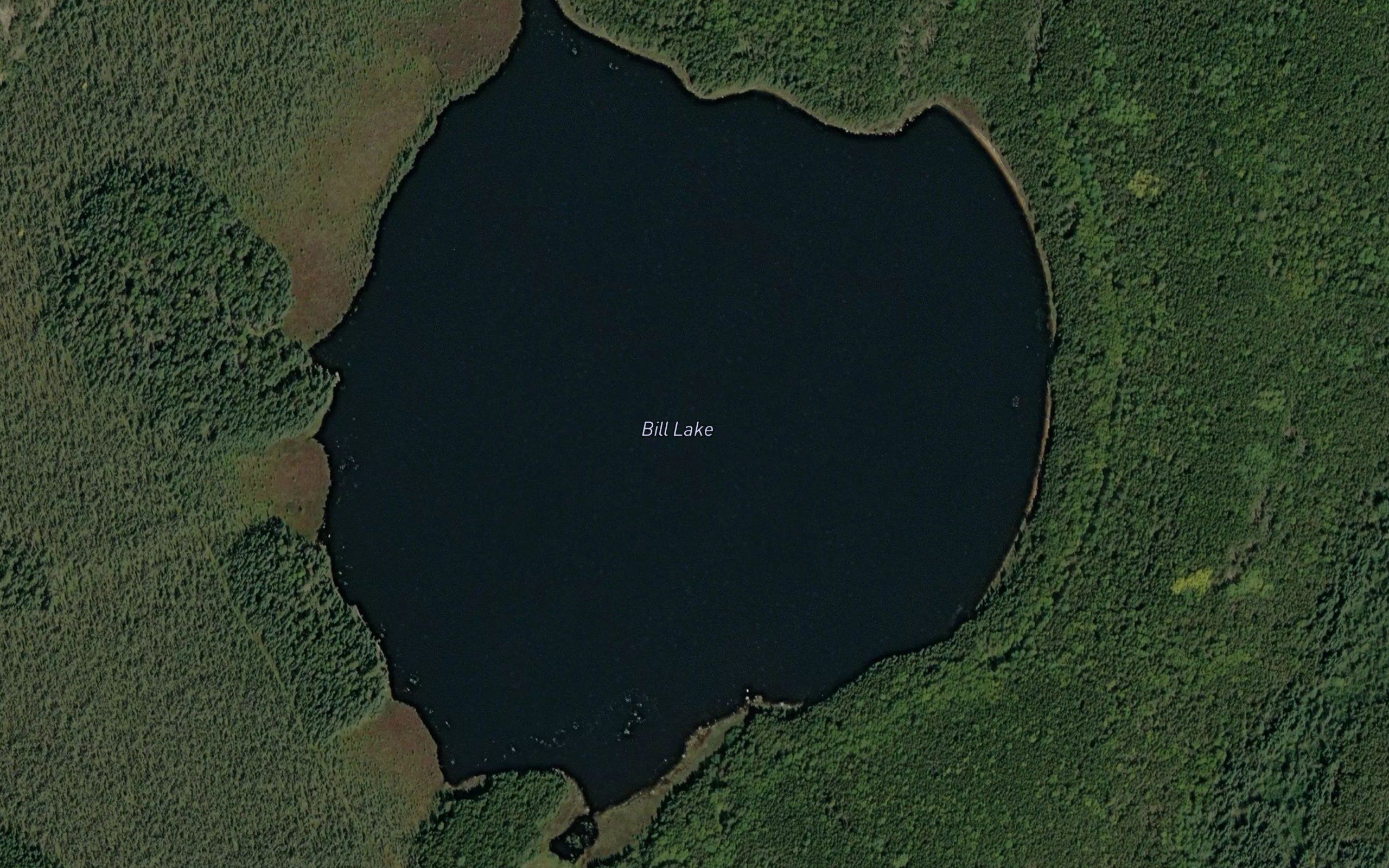Bill Lake