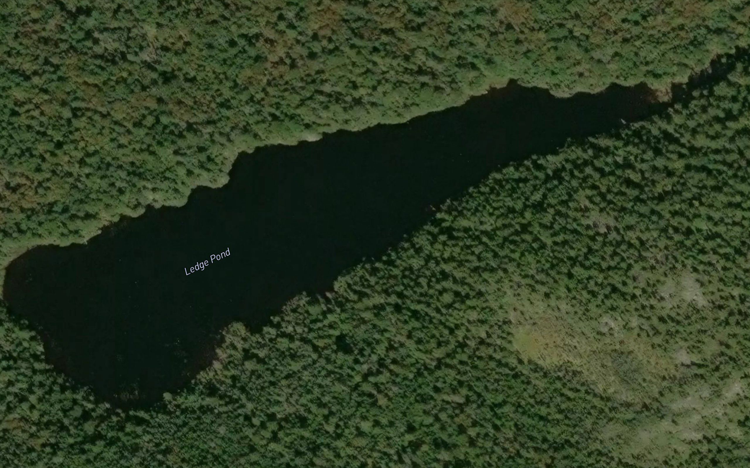 Ledge Pond