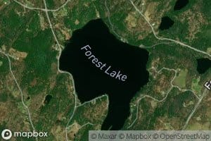 Forest Lake