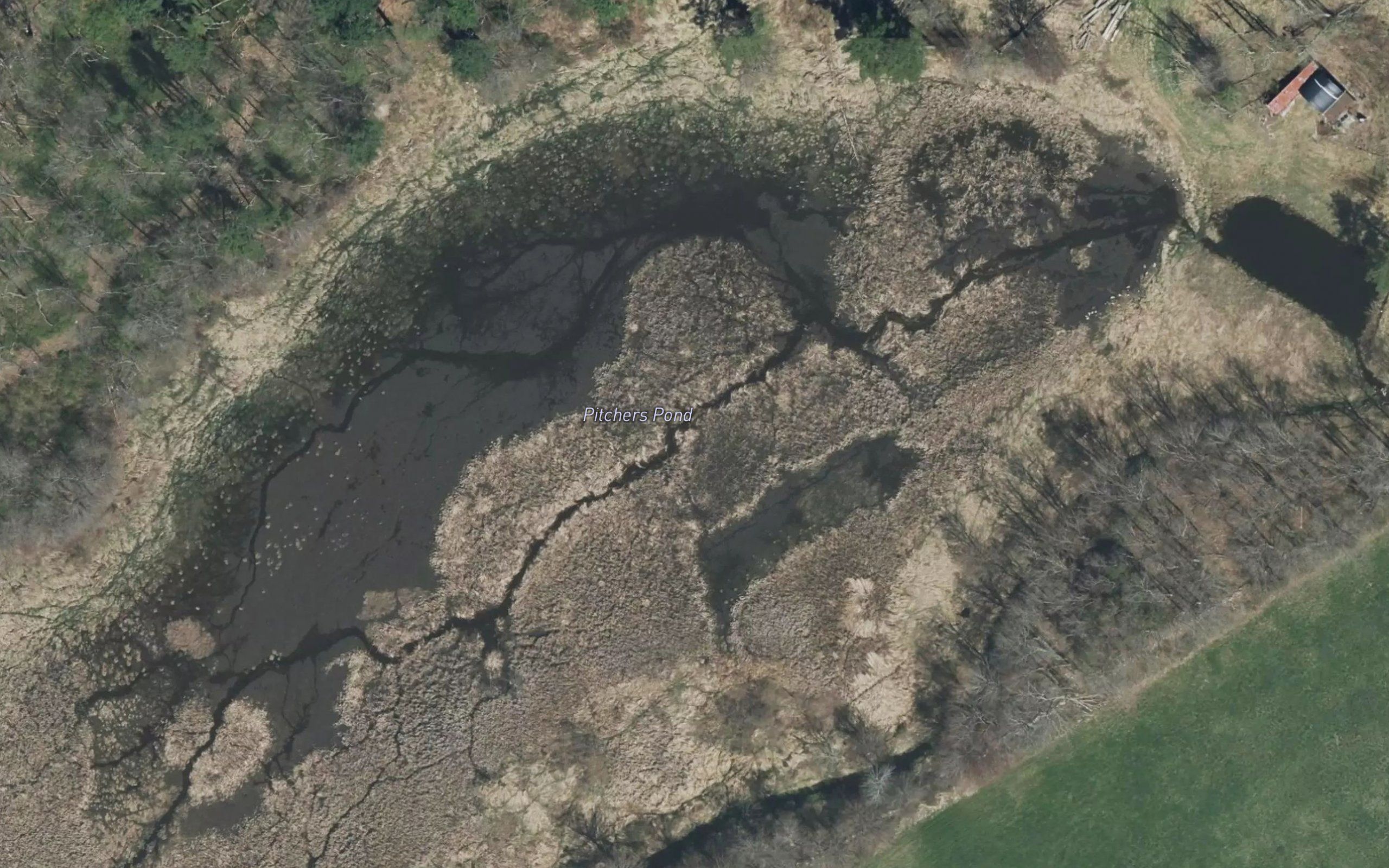 Pitchers Pond