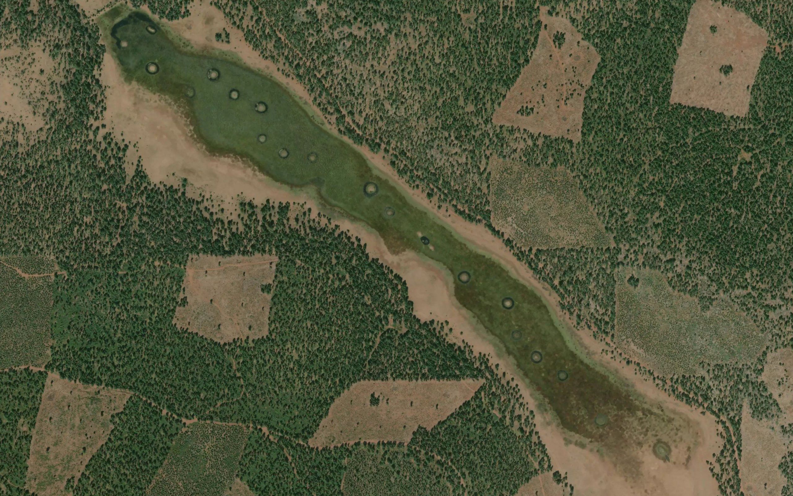 Bear Valley Reservoir