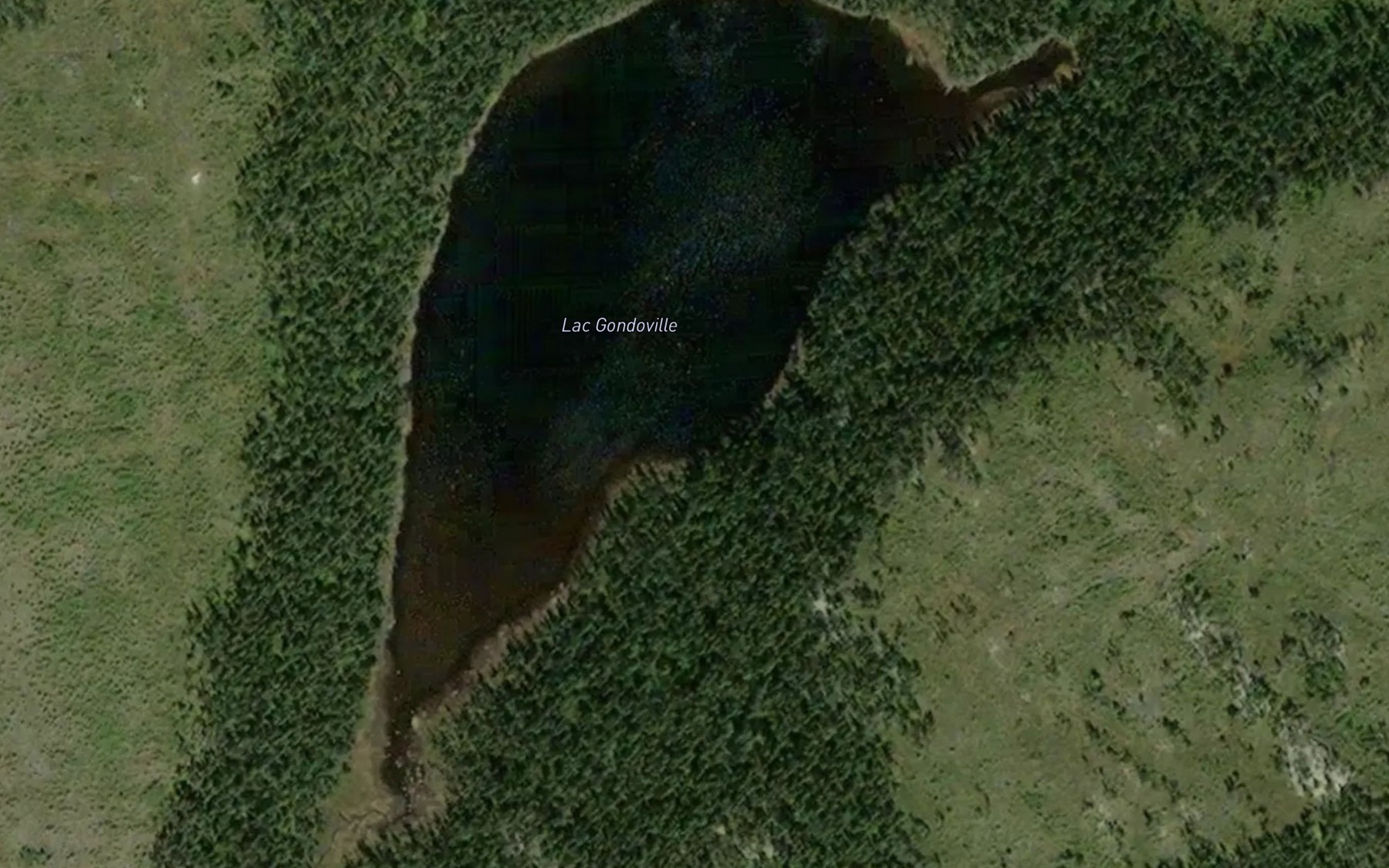 Satellite map of the Lac Gondoville