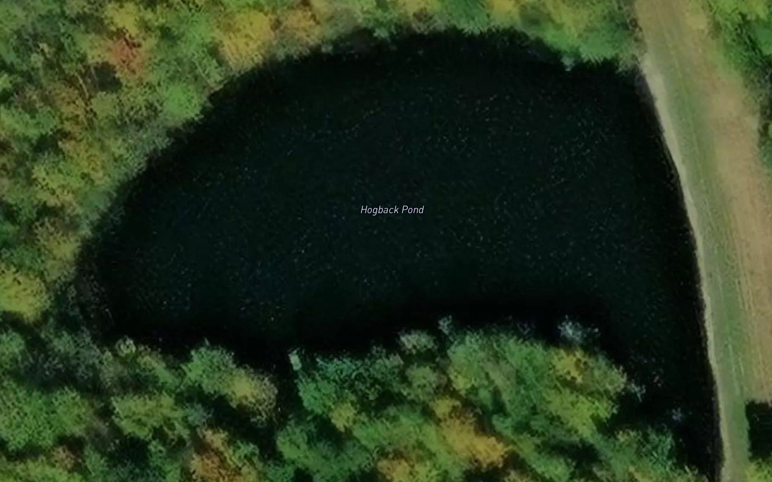 Hogback Pond
