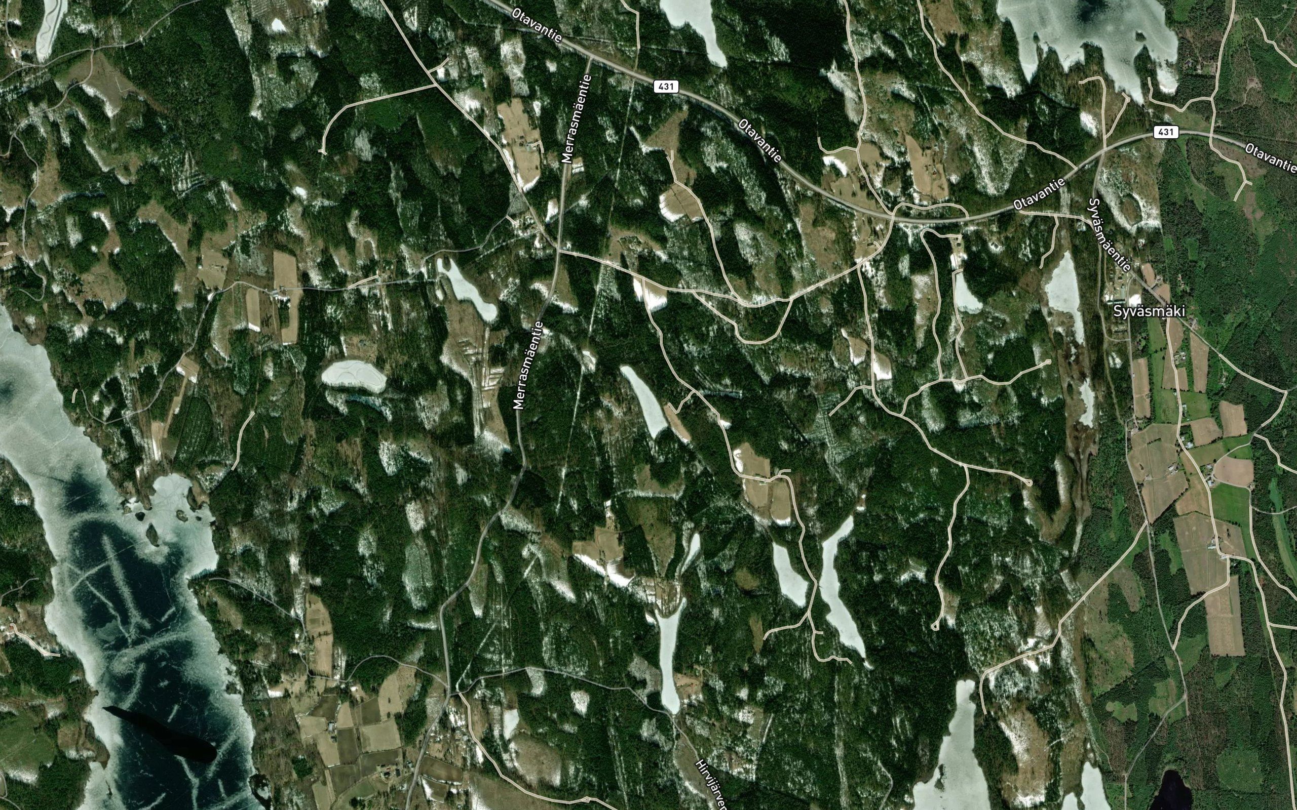 Pyoriainen