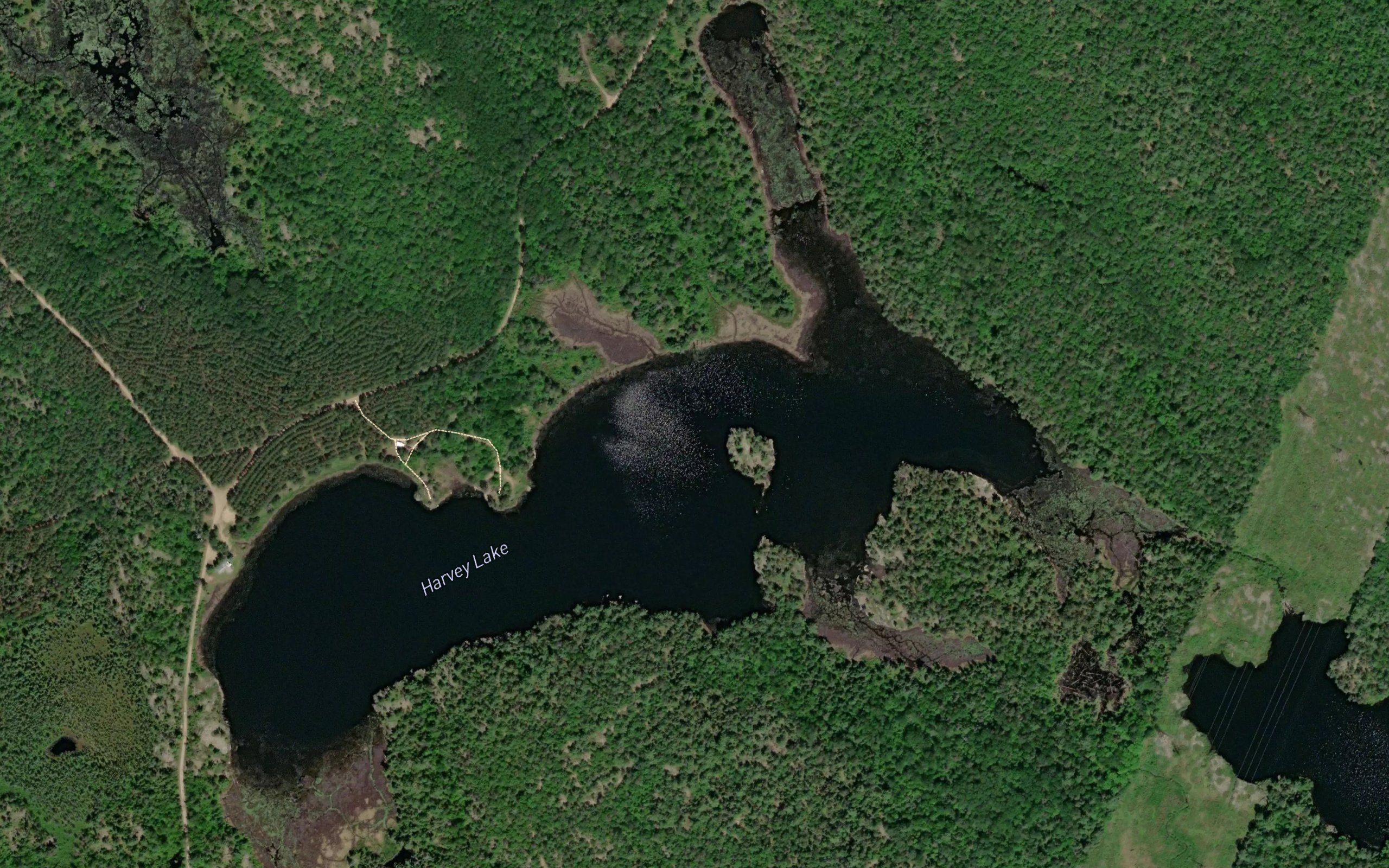 Harvey Lake