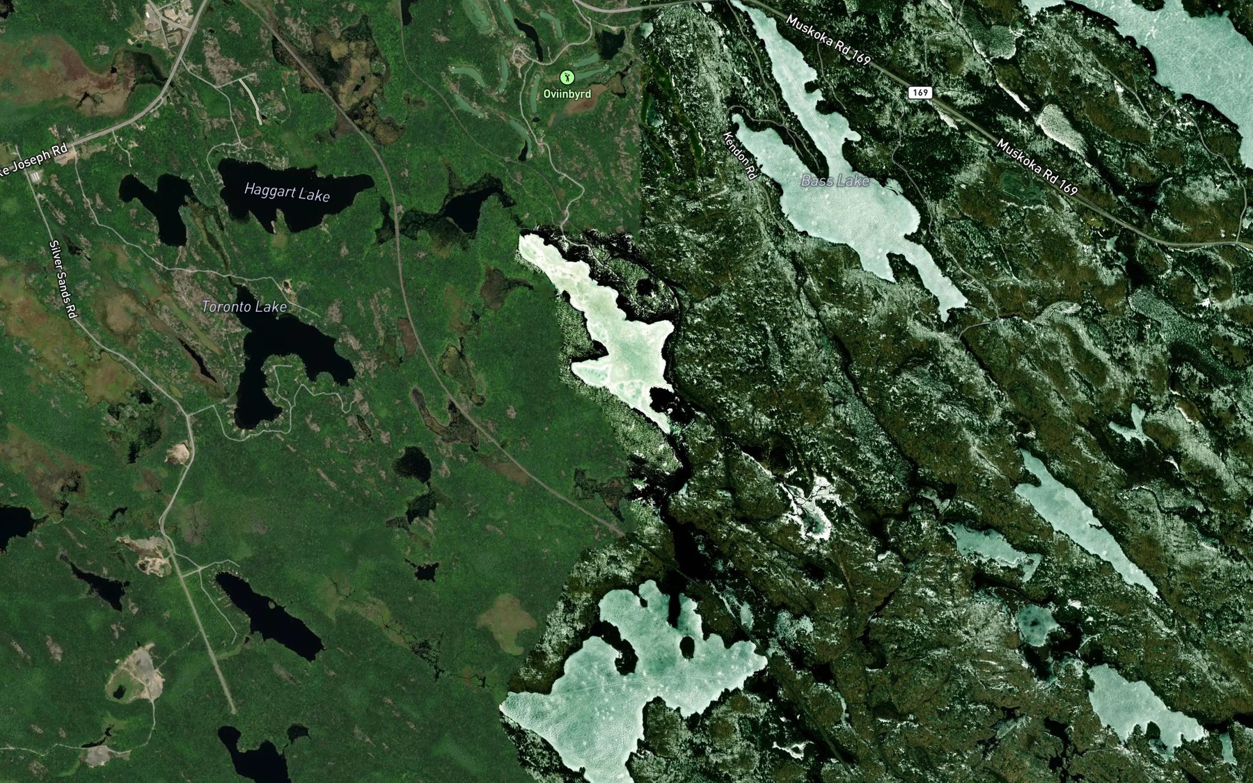 Satellite map of the Cassidy Lake