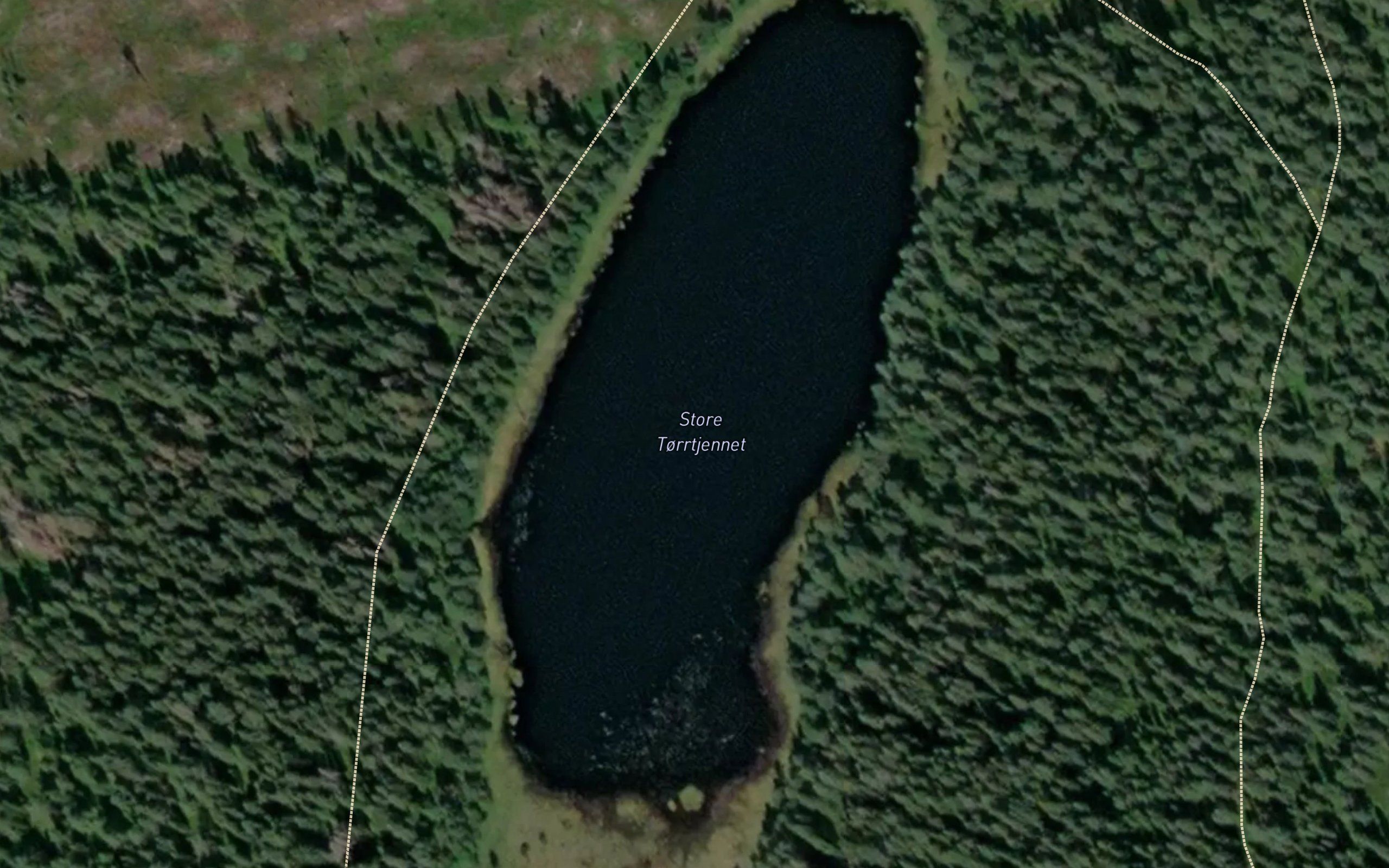 Torrtjerna,store