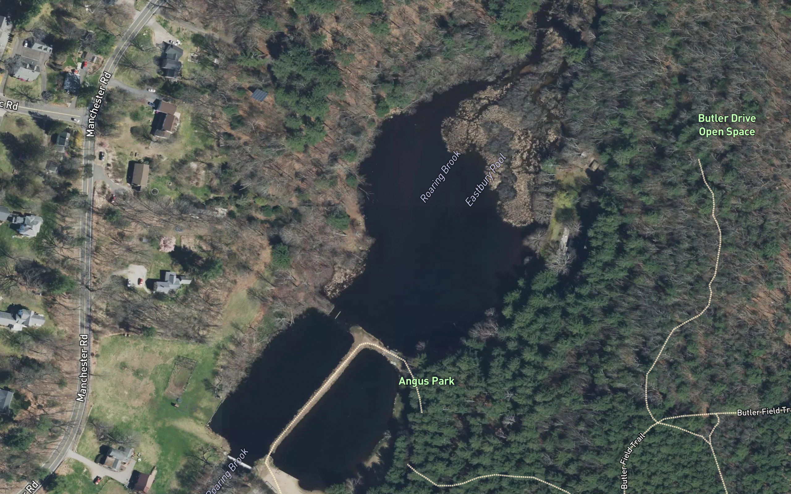 Angus Park Pond