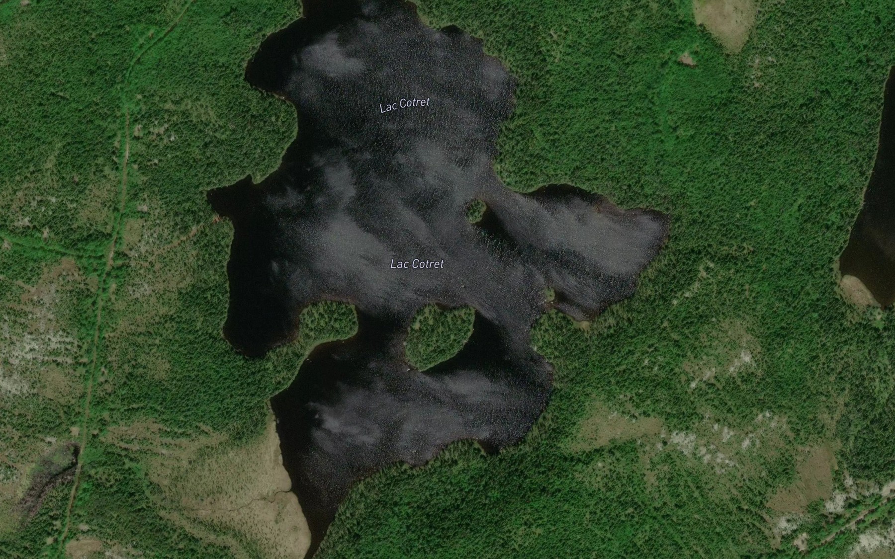 Satellite map of the Lac Cotret