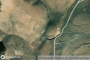 Scratching Post Spring