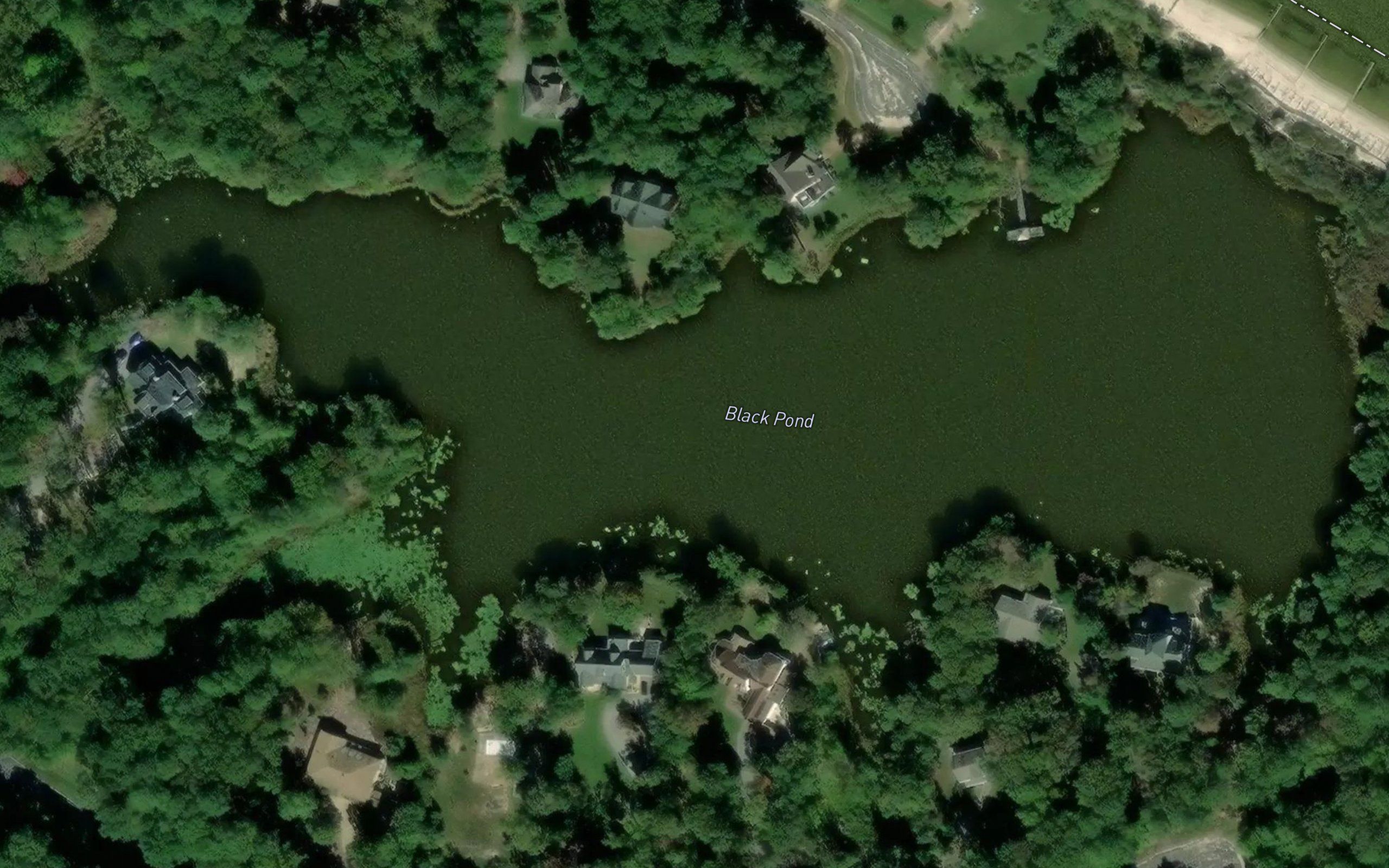 Black Pond