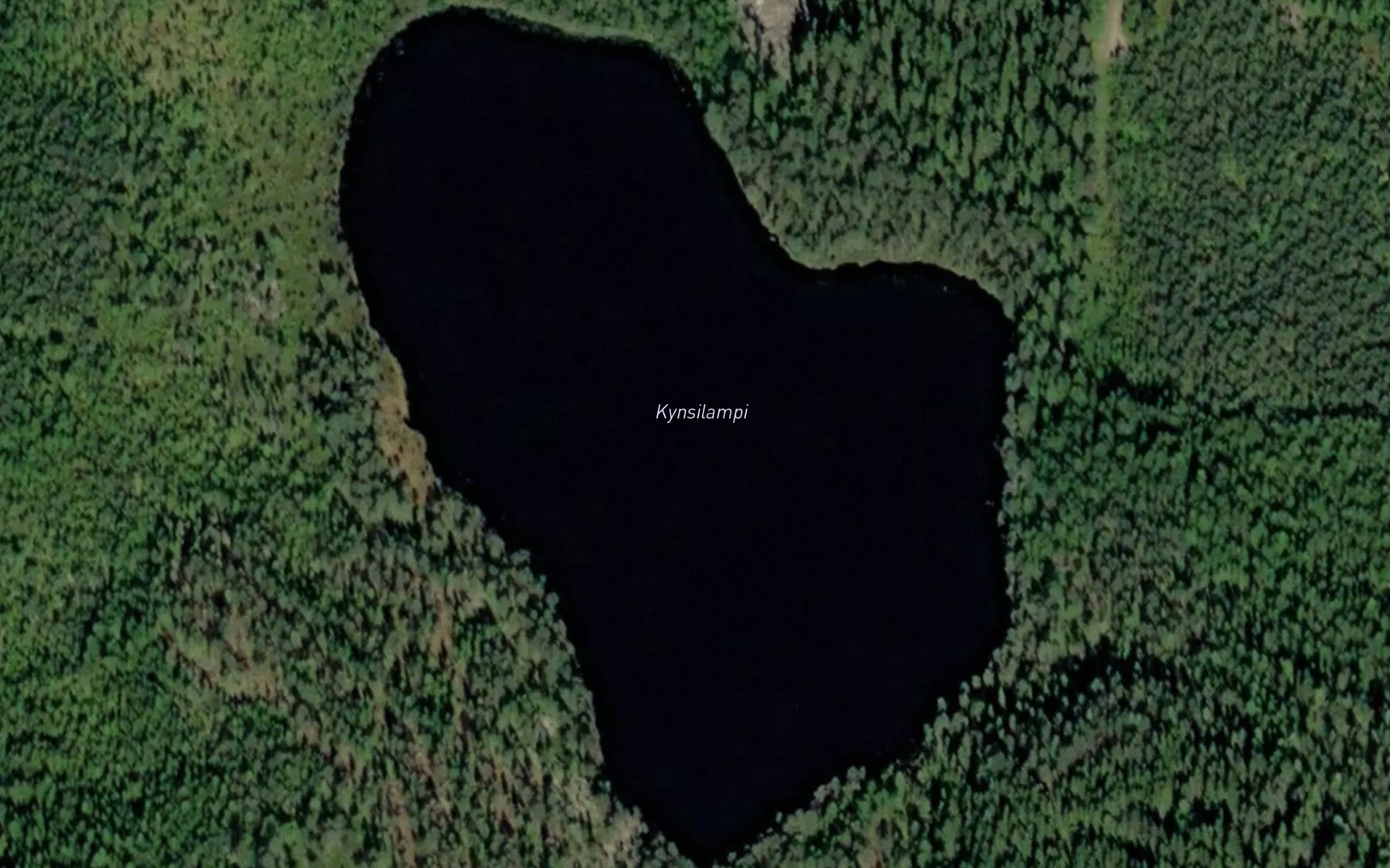 Satellite map of the Kynsilampi