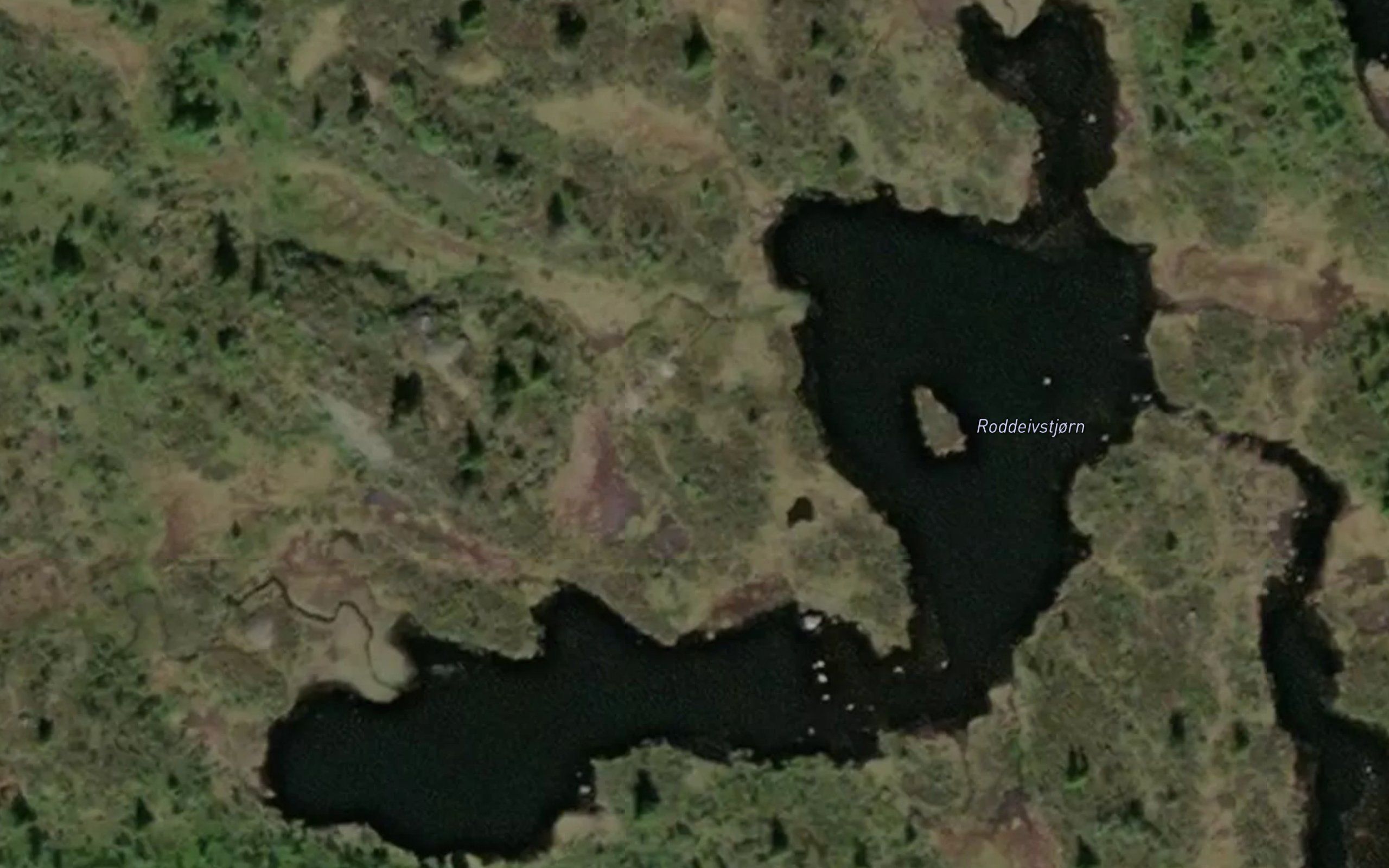 Roddeivstjorn