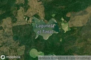 Laguneta El Tintal