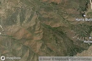 Ruelas Spring Number Two and Three