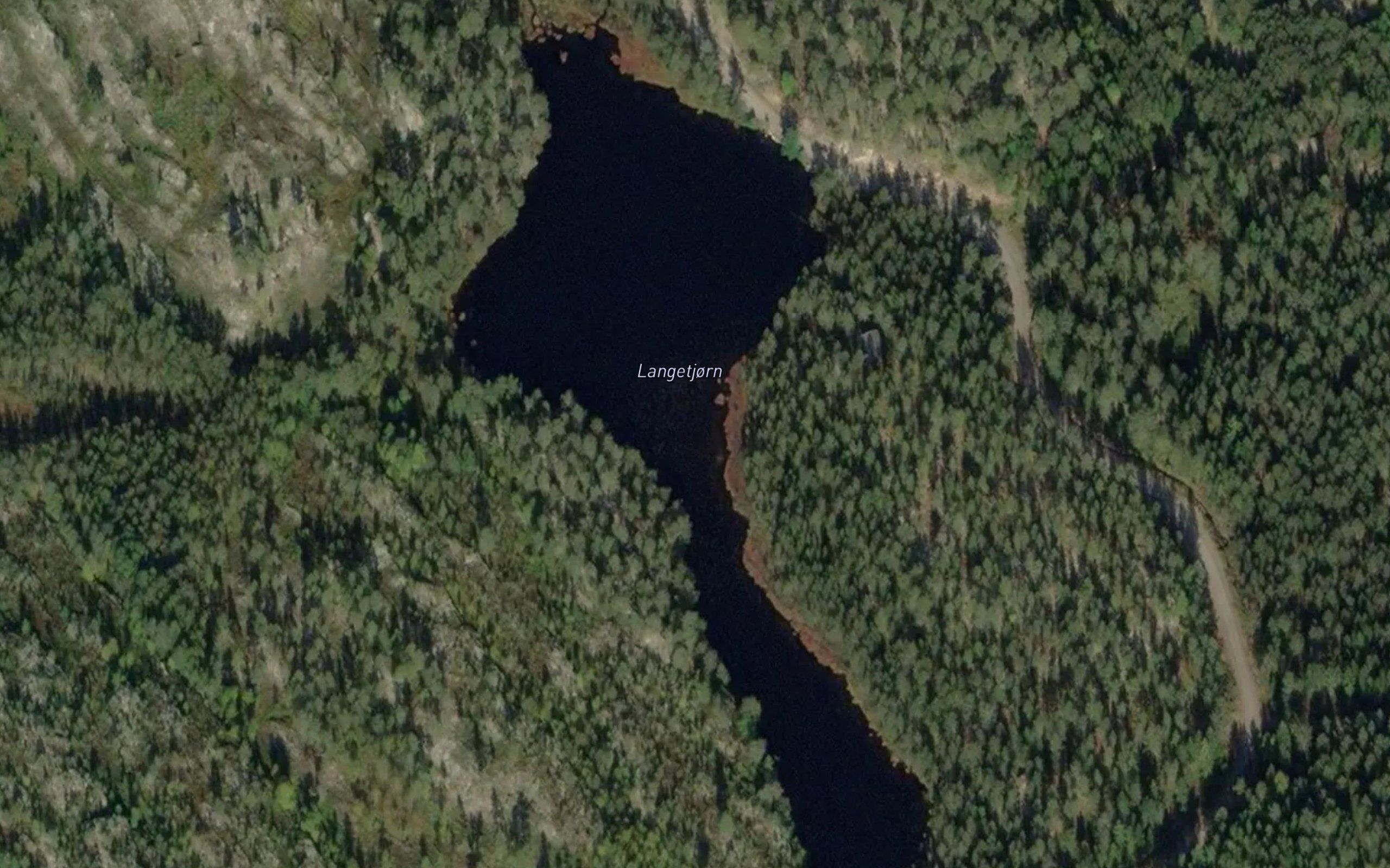 Langetjorn