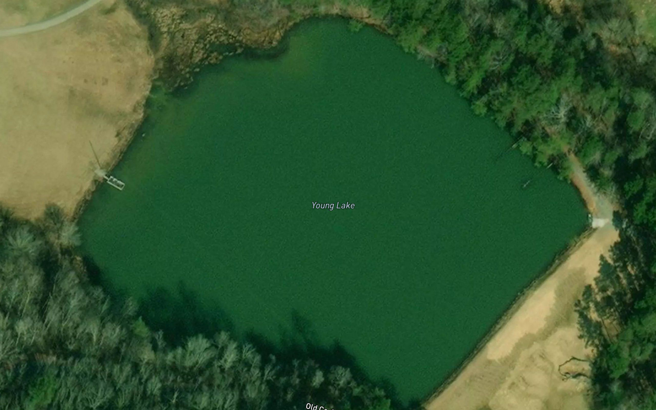 Young Lake