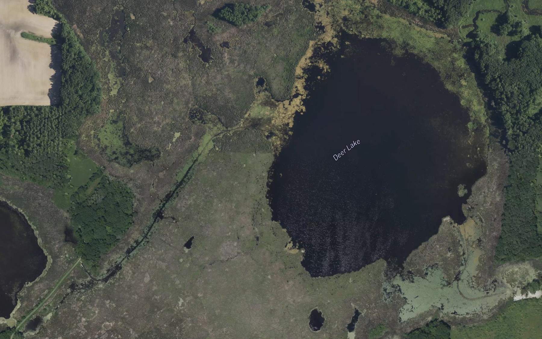Satellite map of the Deer Lake