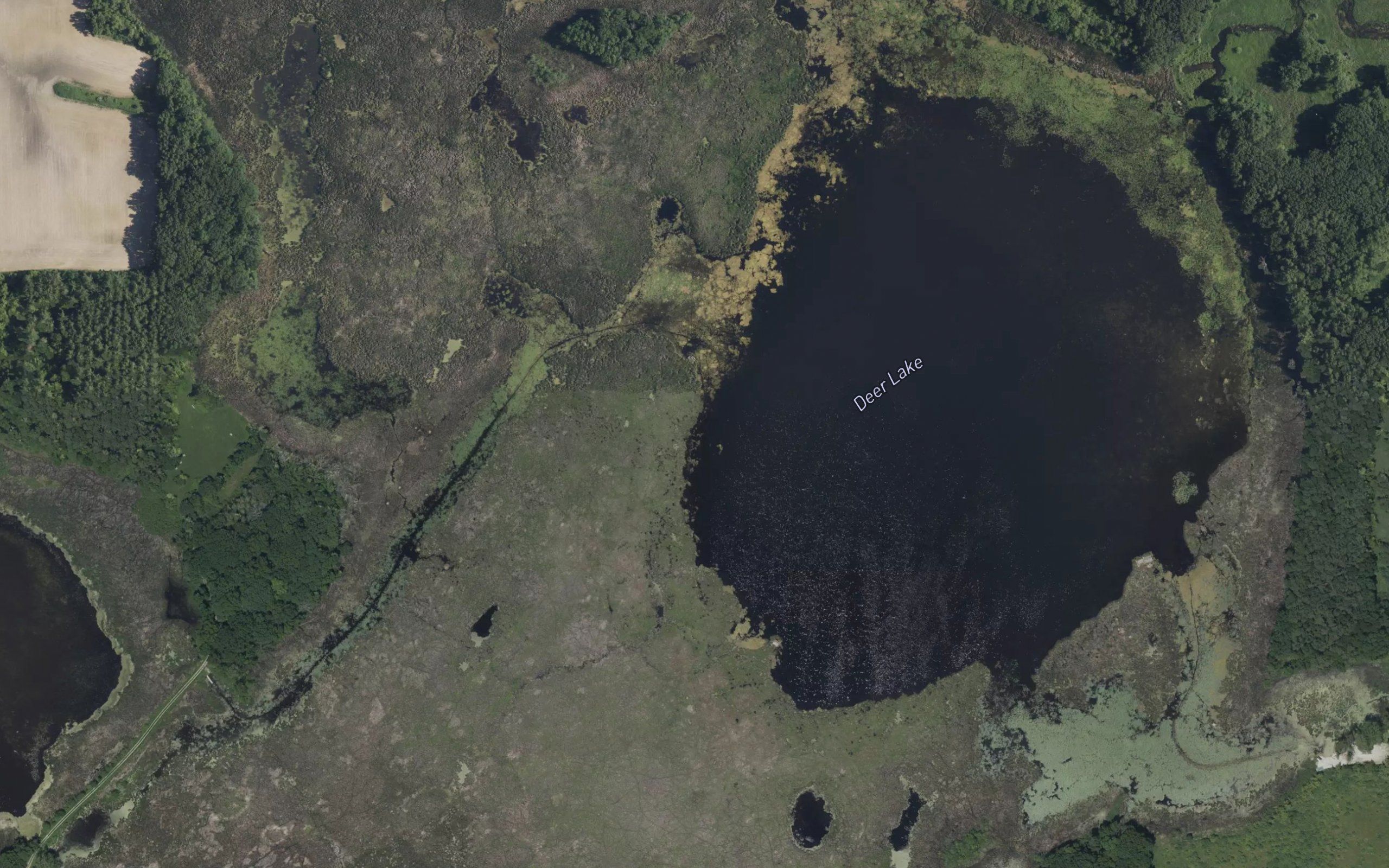 Deer Lake