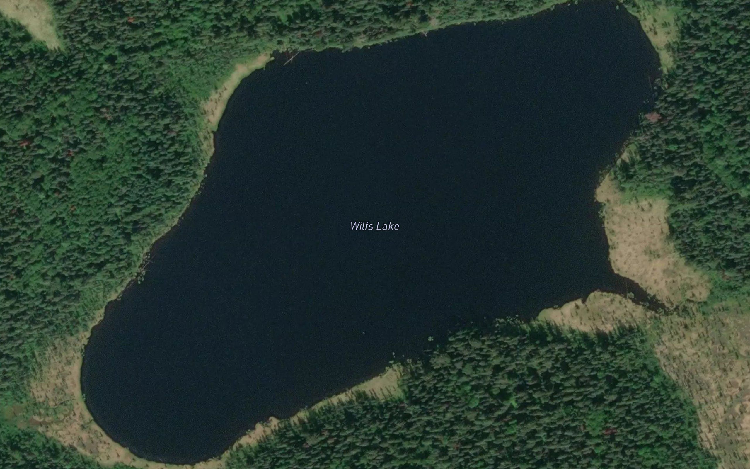 Wilfs Lake
