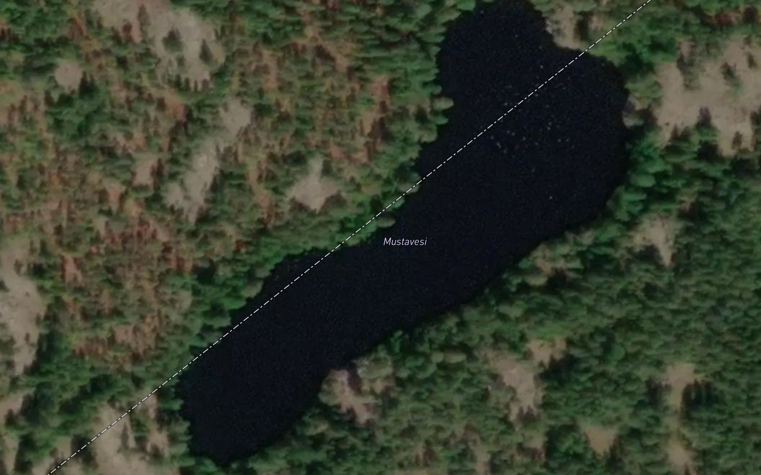 Mustavesi