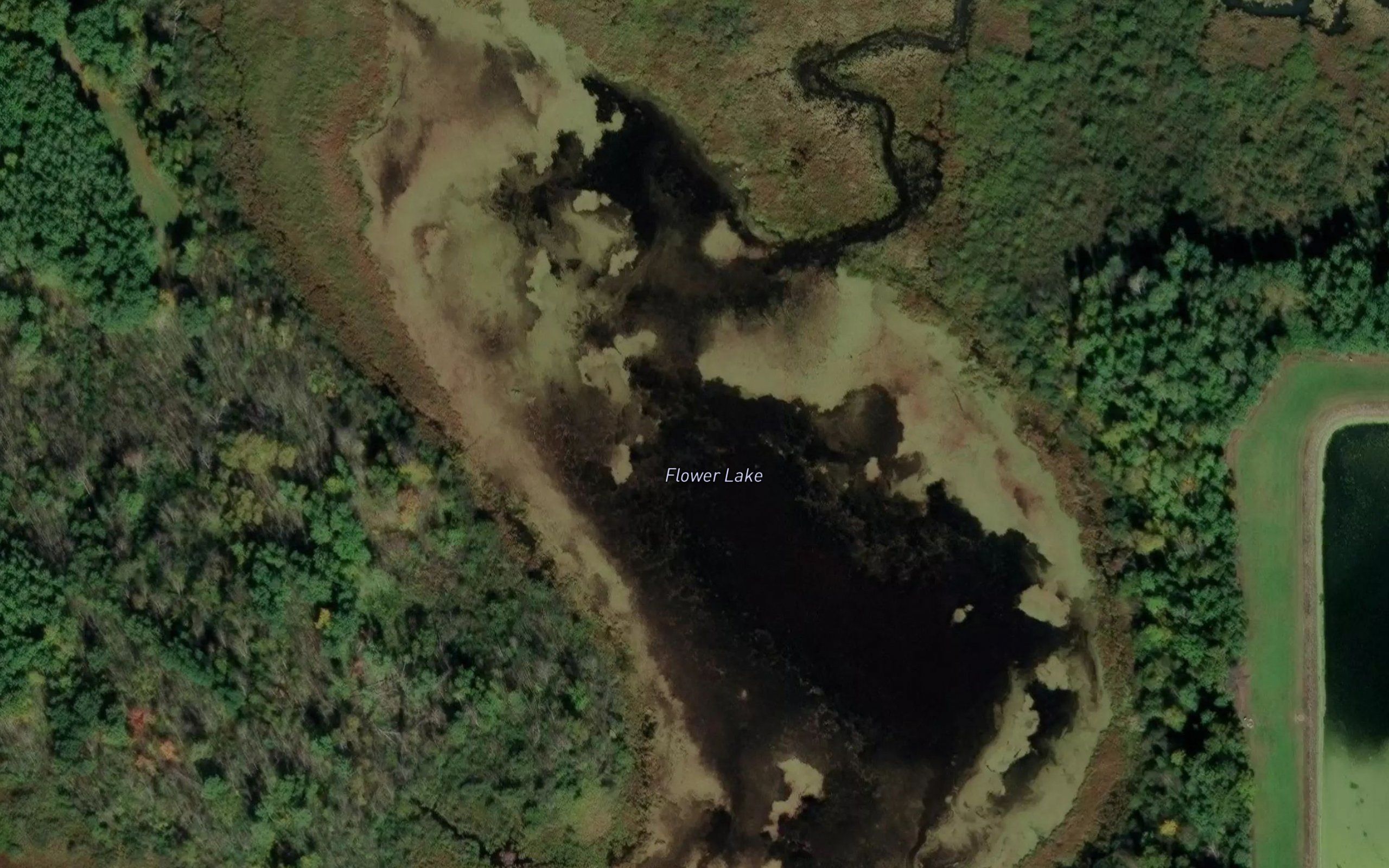 Flower Lake