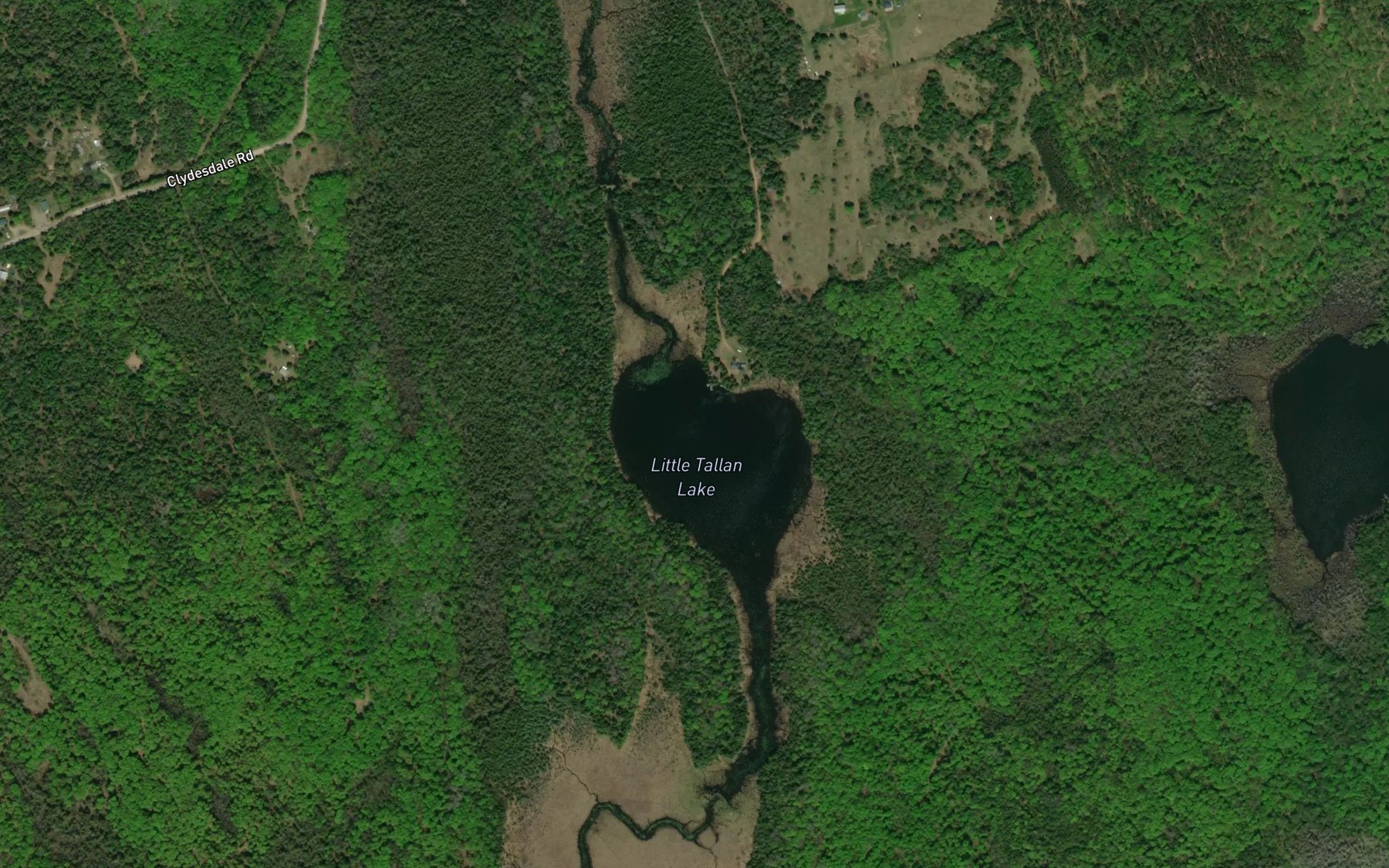 Satellite map of the Little Tallan Lake