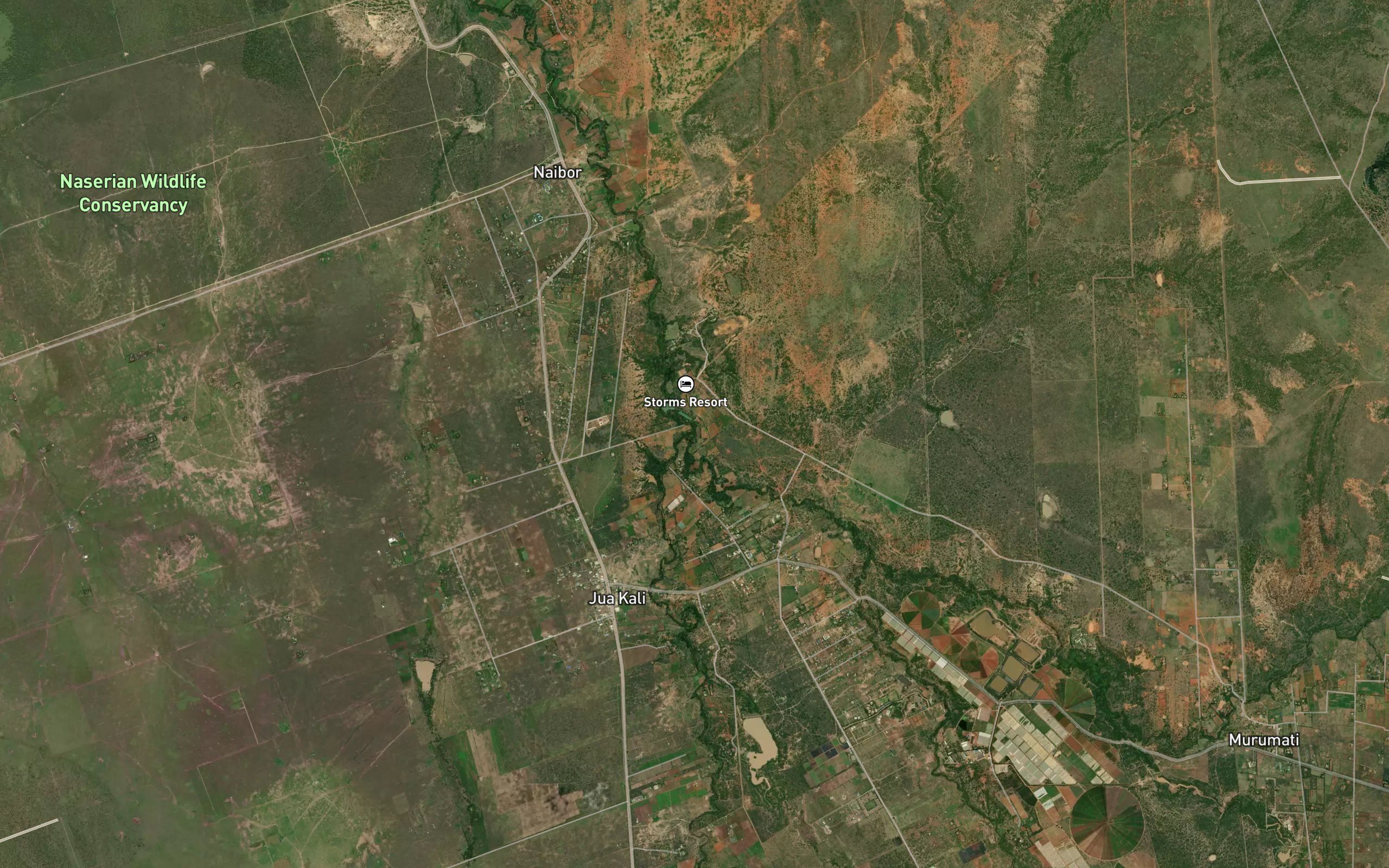 Timau
