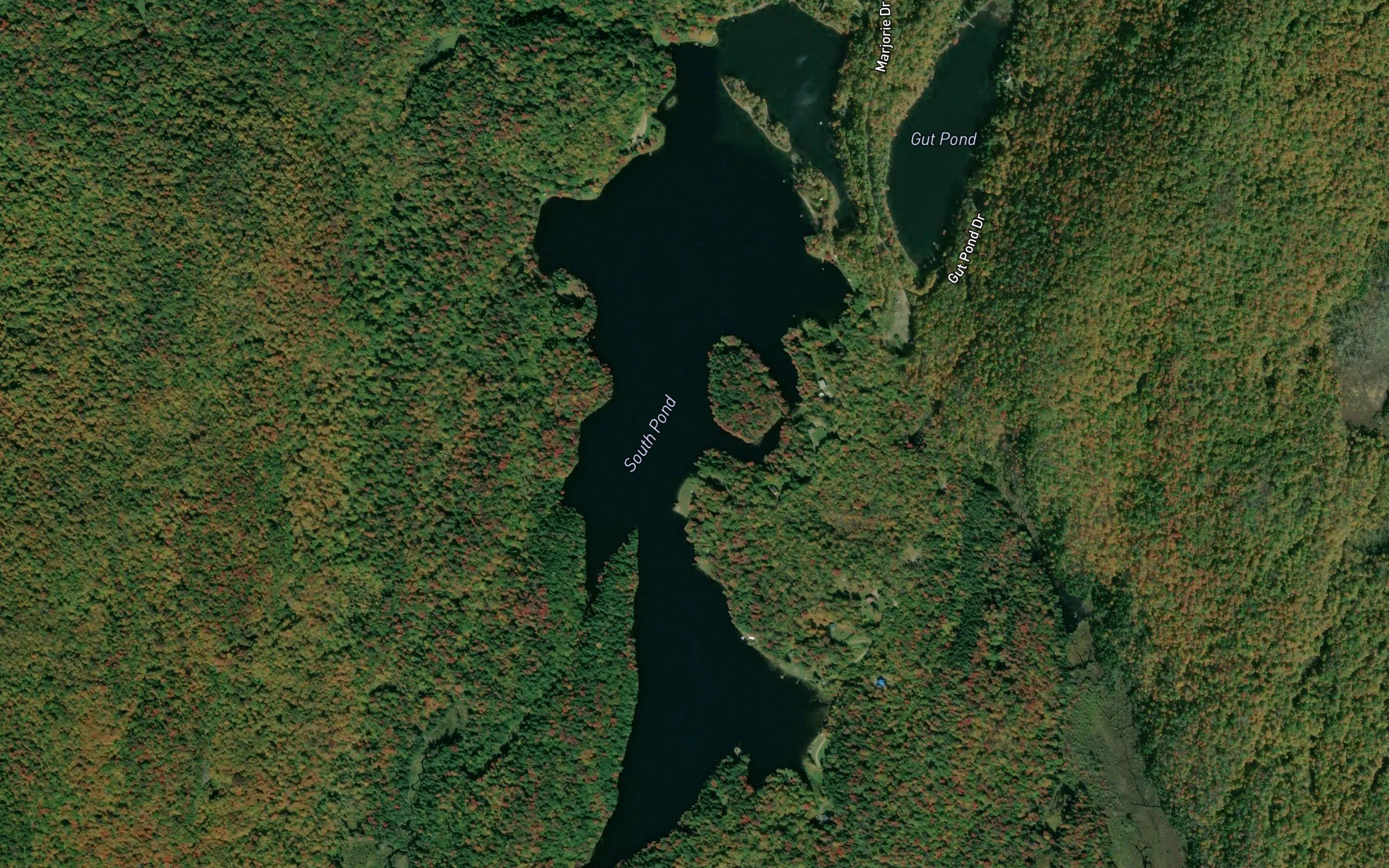 South Pond