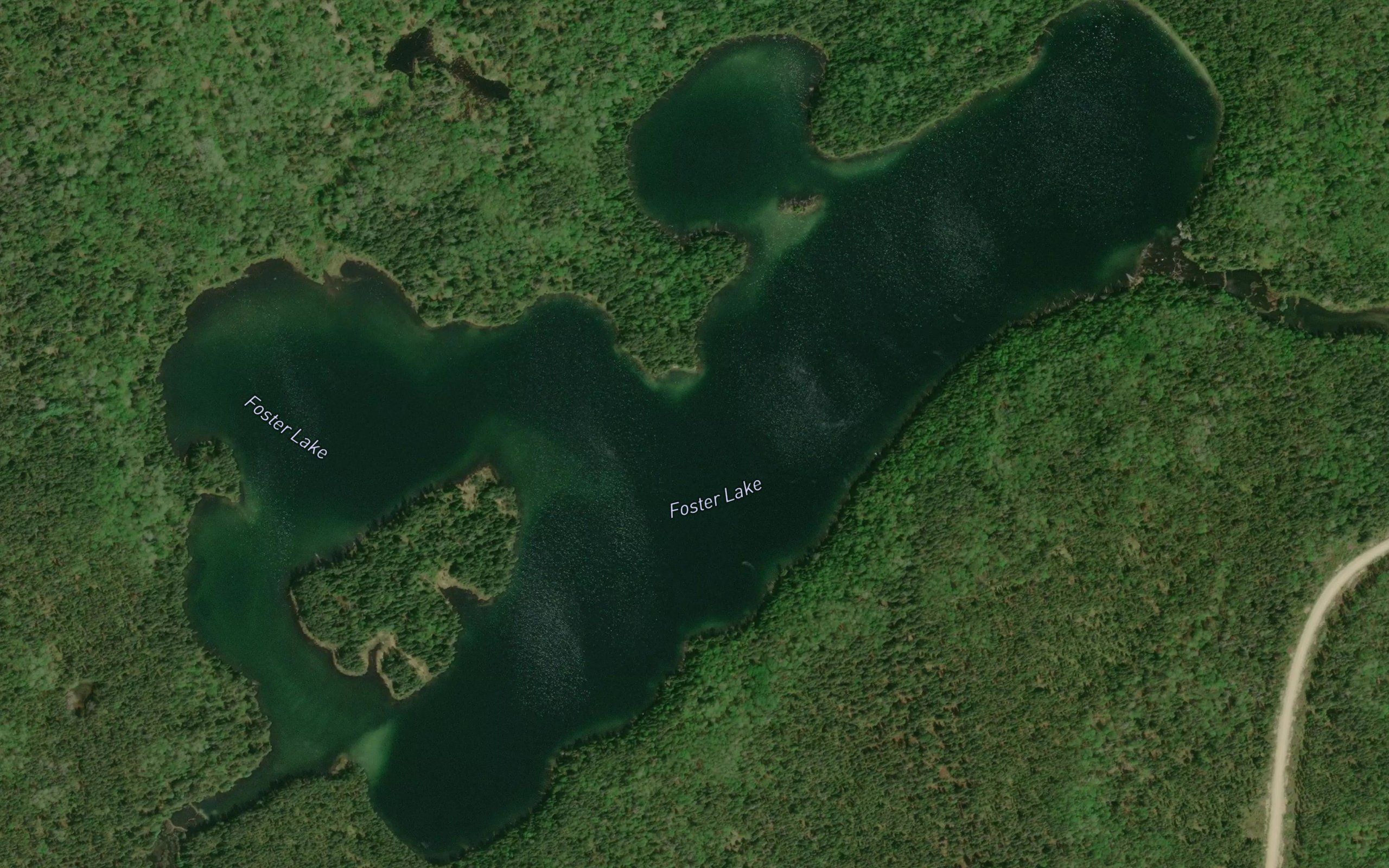 Foster Lake