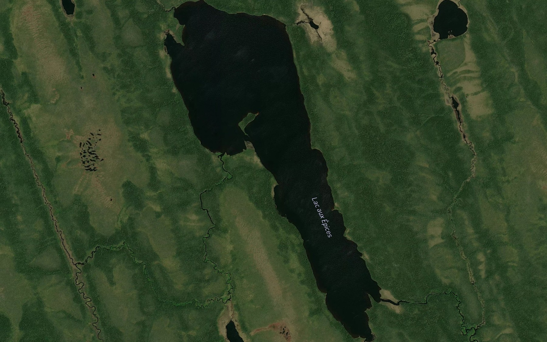 Satellite map of the Lac aux Epices