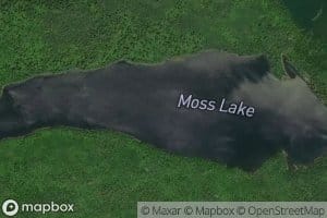 Moss Lake
