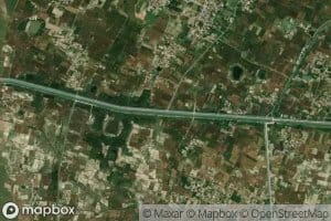 Salarpur Minor