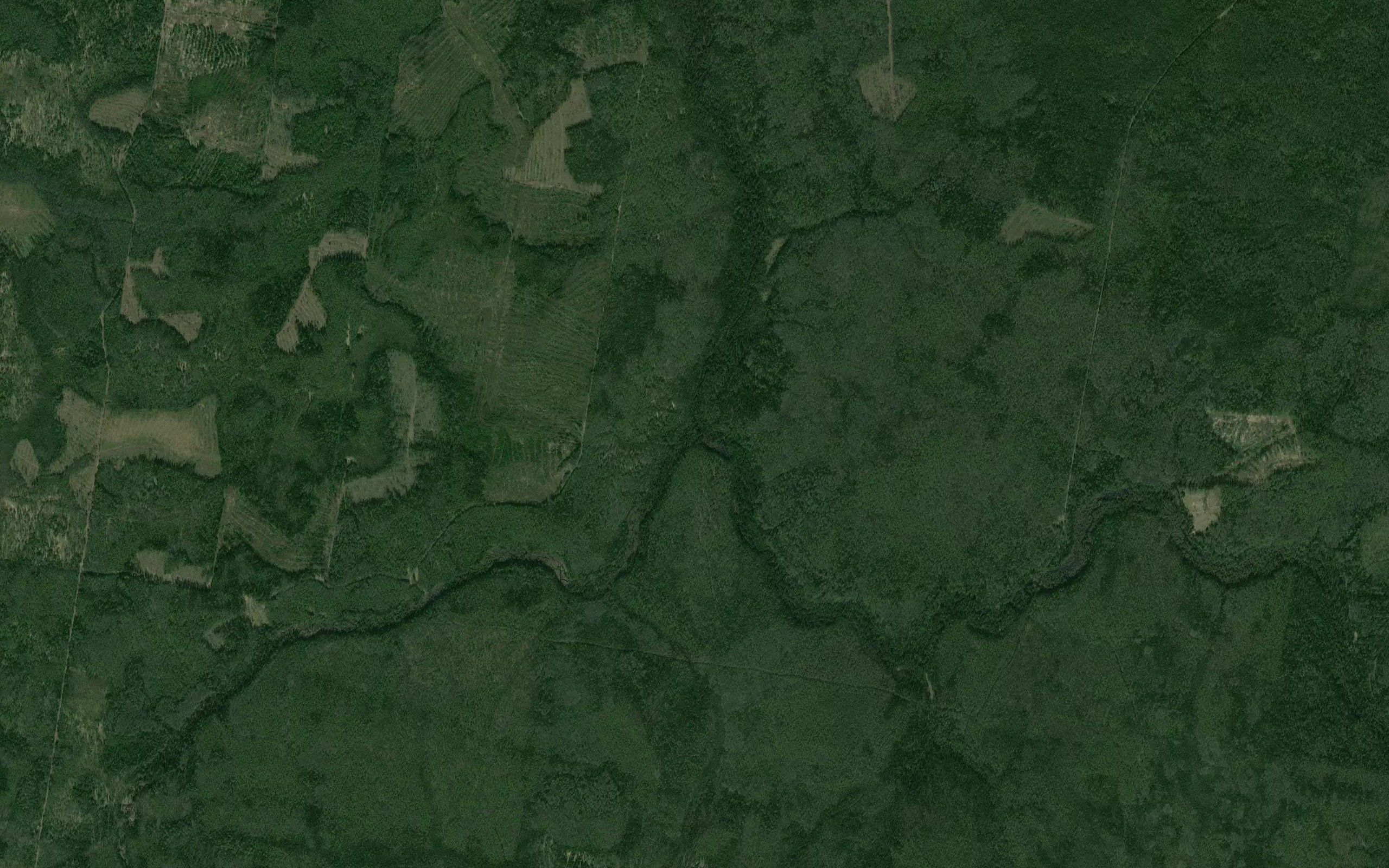 Osinovaya