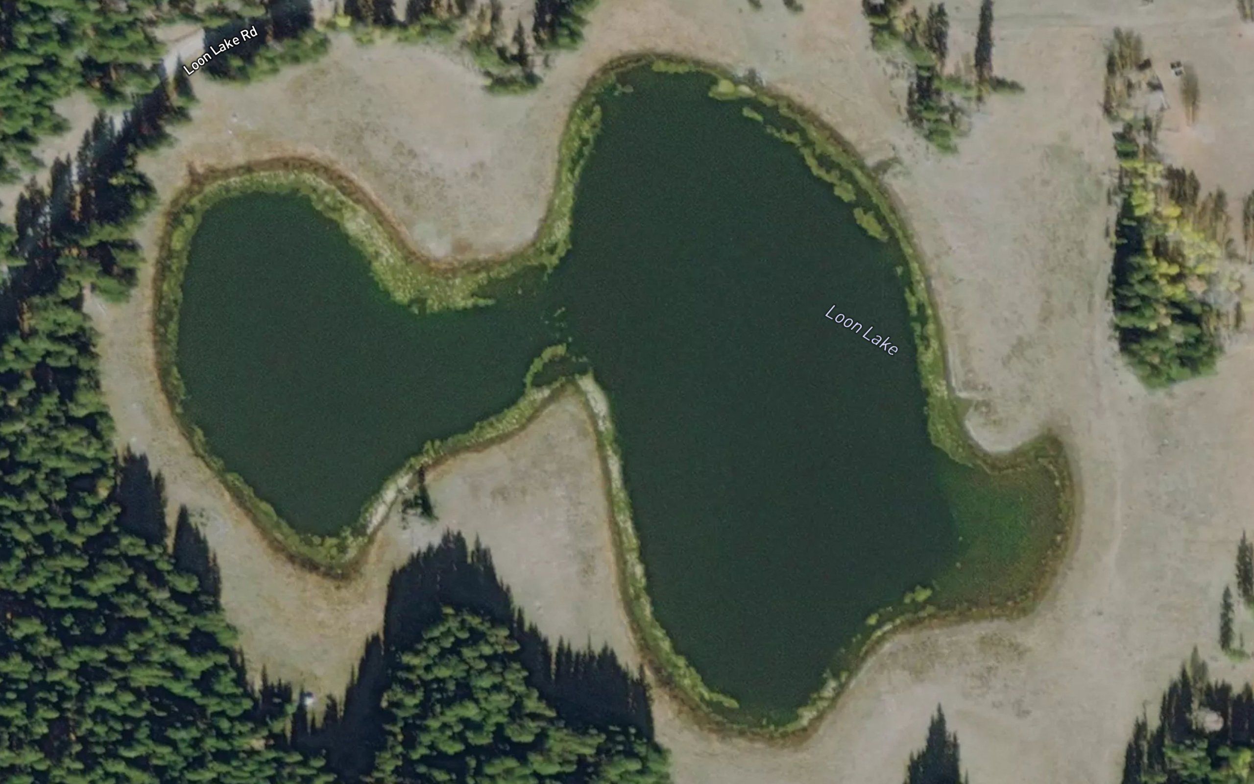 Loon Lake