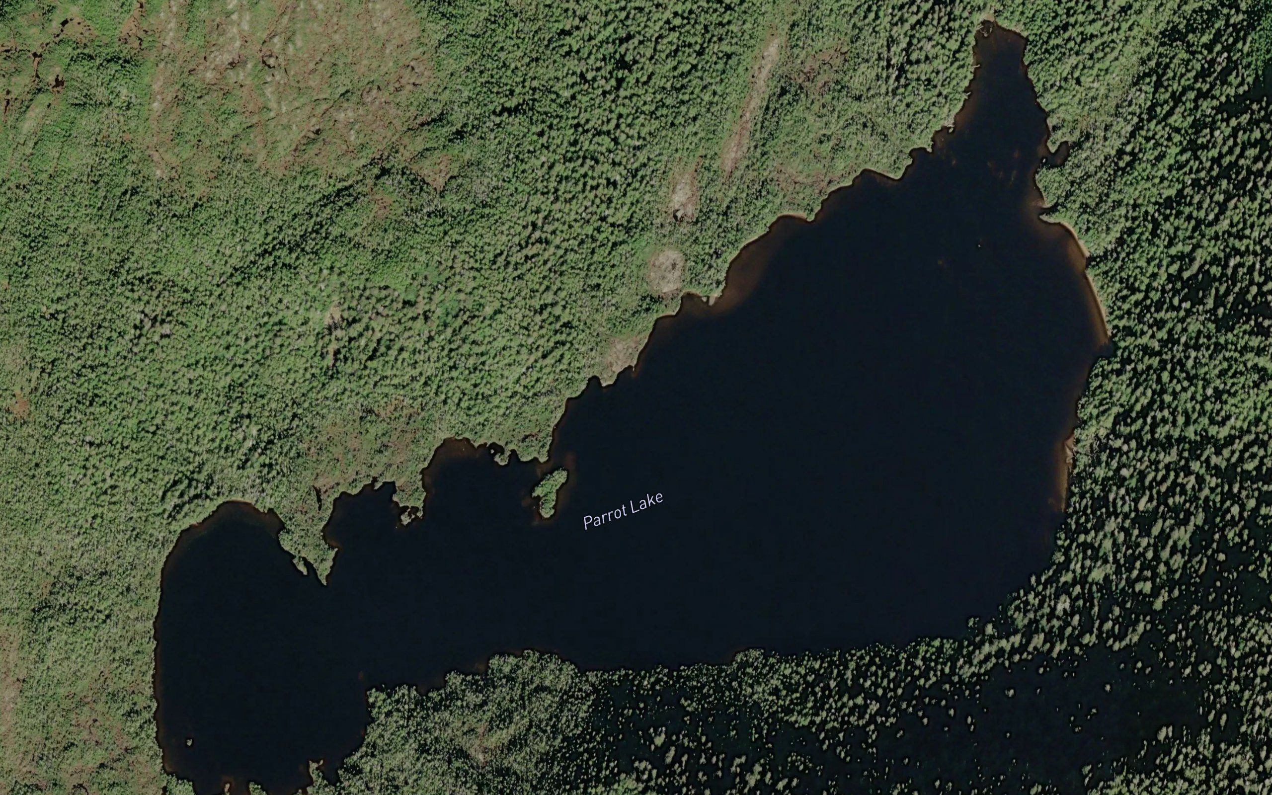 Parrot Lake