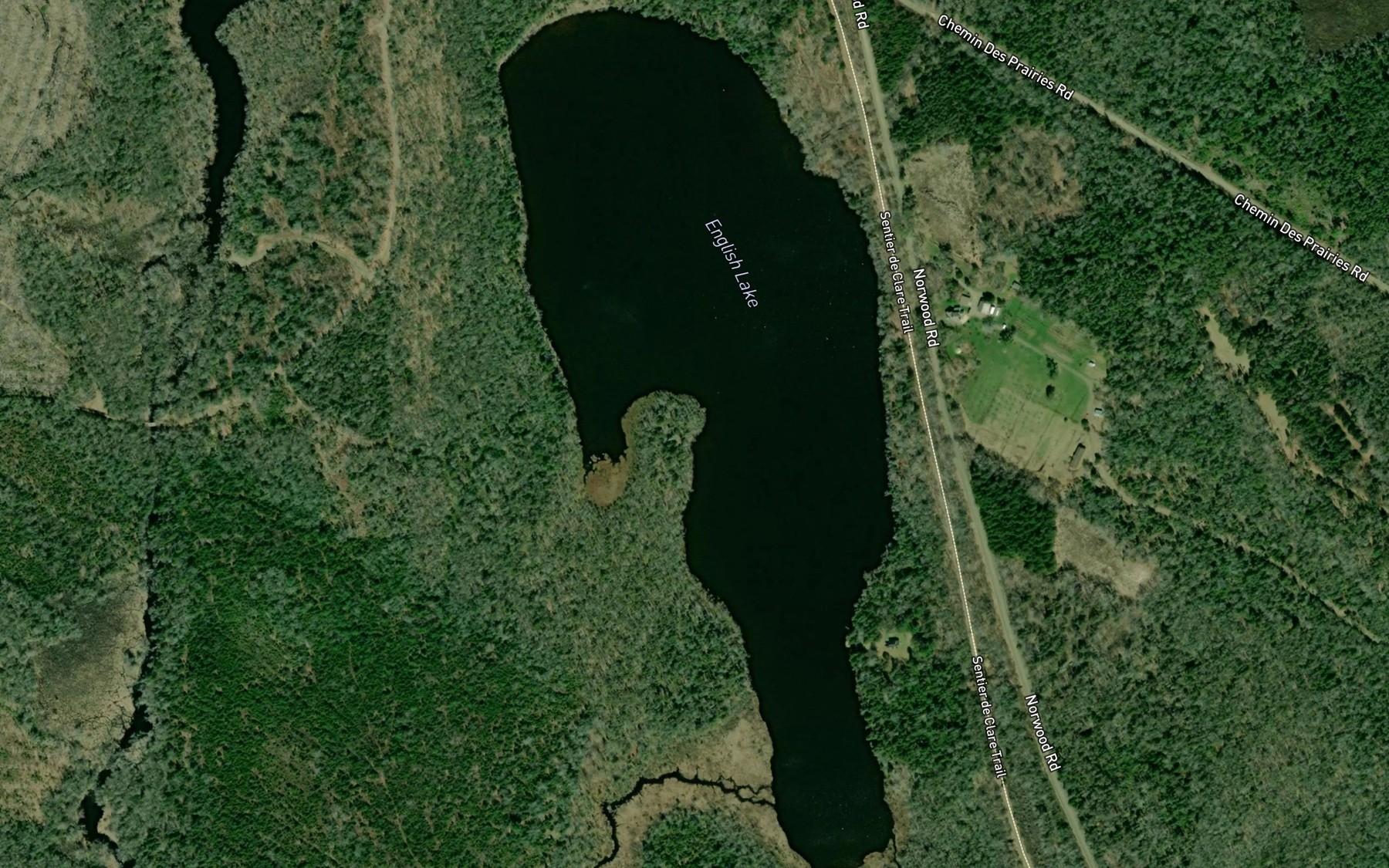 Satellite map of the English Lake