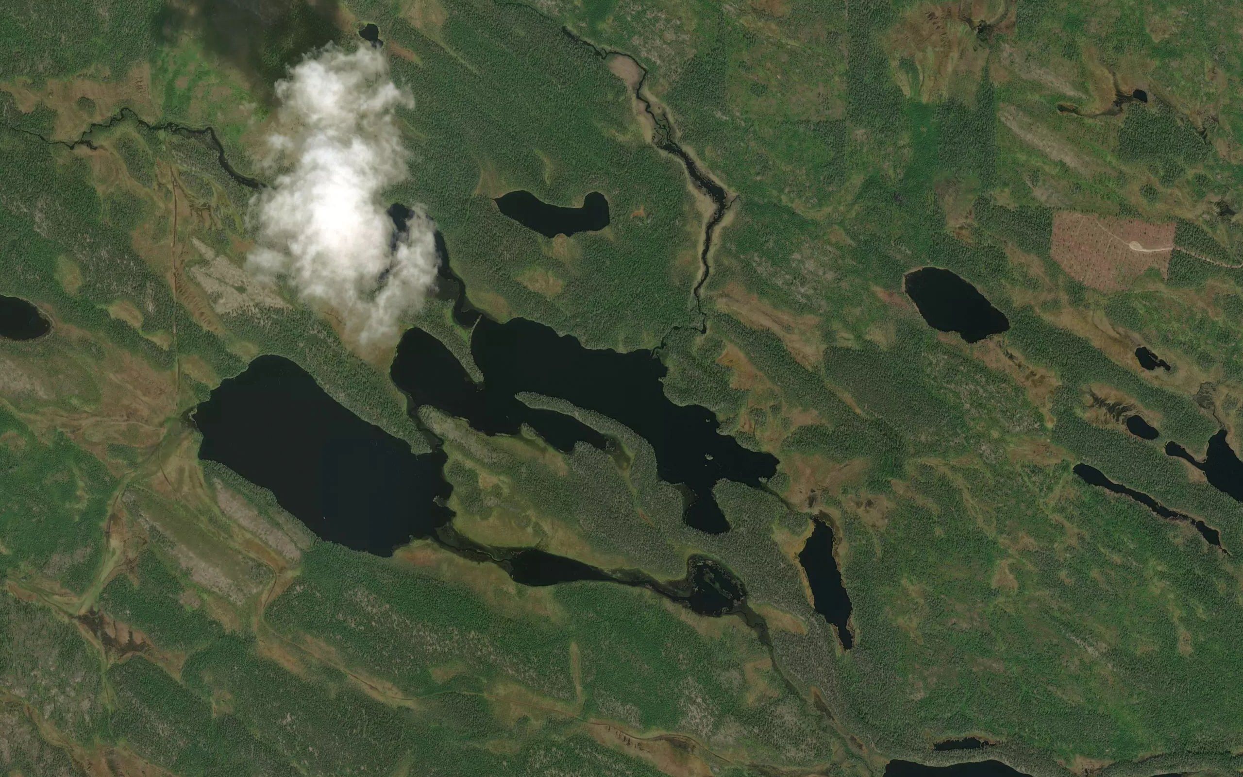 Suuri Veskajaervi