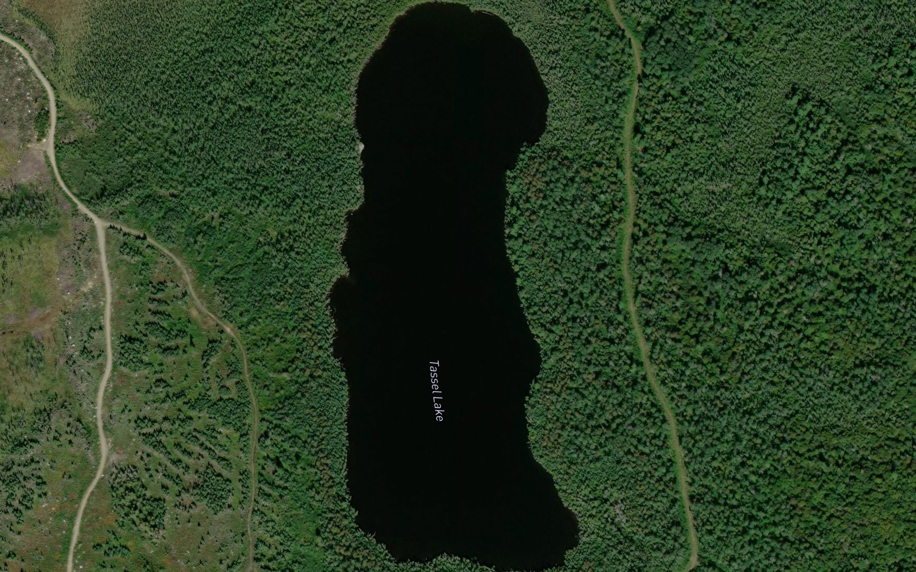 Satellite map of the Tassel Lake